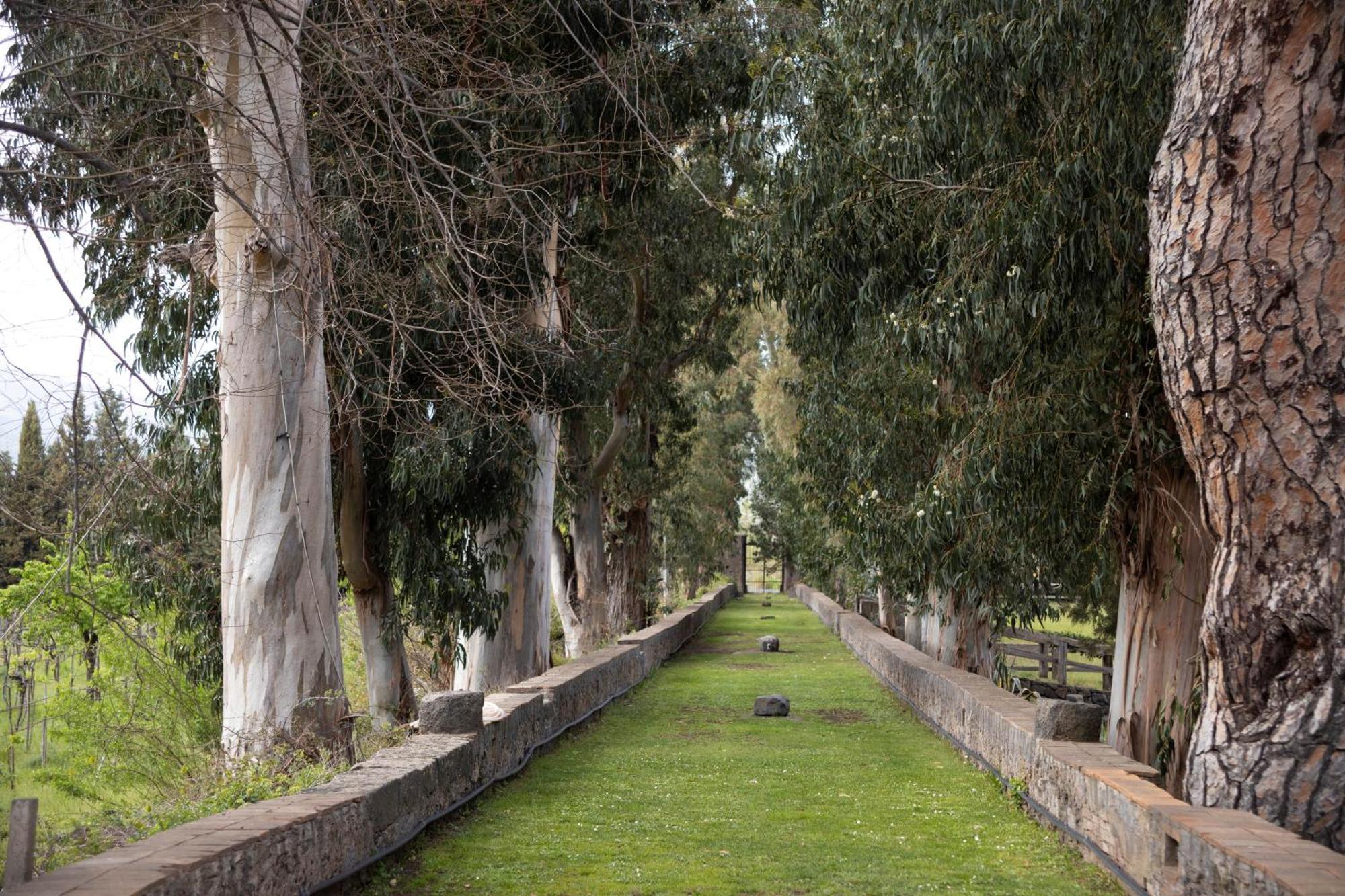 Parco Statella Villa Montelaguardia Exterior photo