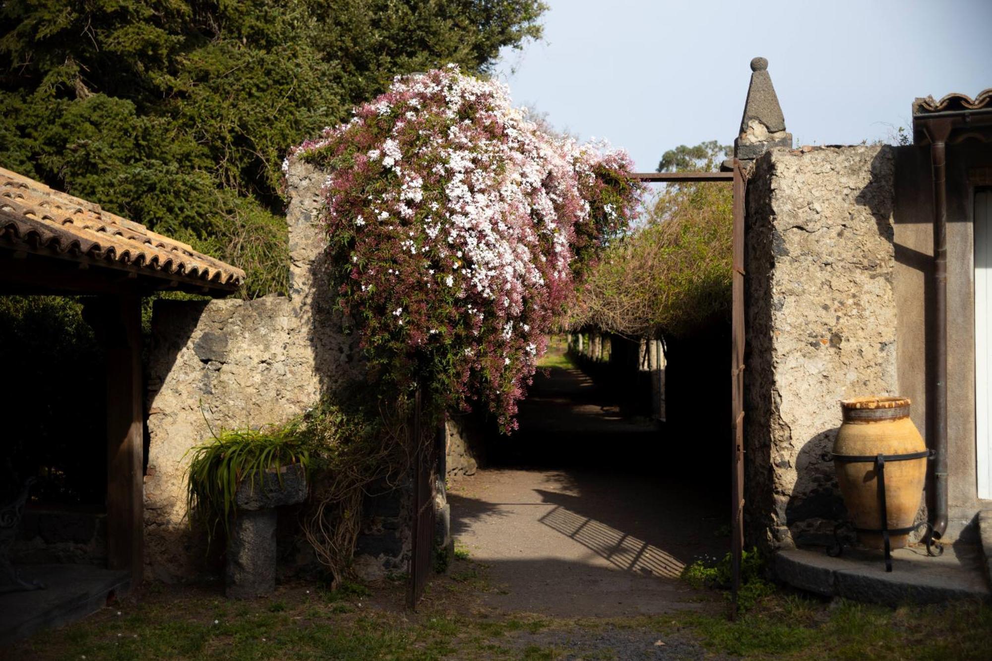 Parco Statella Villa Montelaguardia Exterior photo